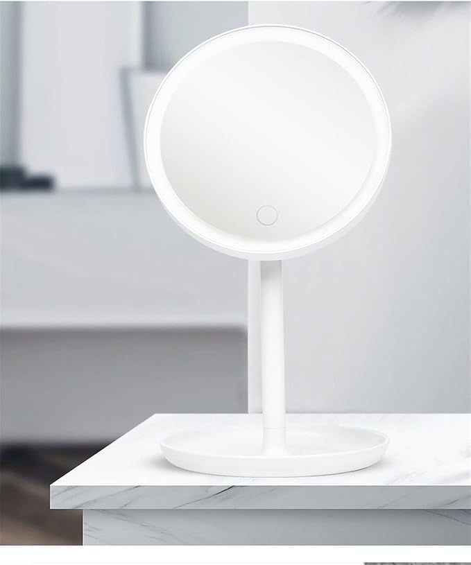 LED Makeup Mirror with Light Lamp with Storage Desktop Rotating Cosmetic Mirror Light Adjustable Dimming USB Vanity Mirror